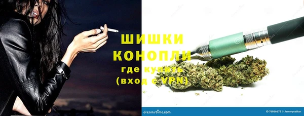 ГАЛЛЮЦИНОГЕННЫЕ ГРИБЫ Нефтегорск
