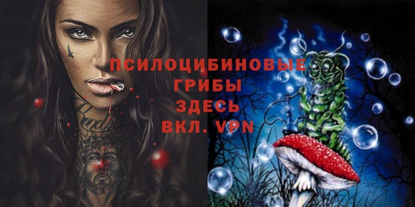 герыч Алзамай